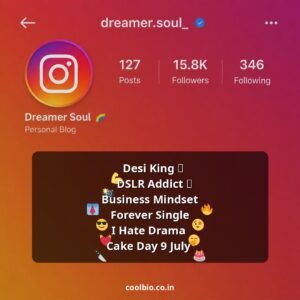 instagram bio in hindi