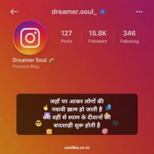 instagram bio shayari